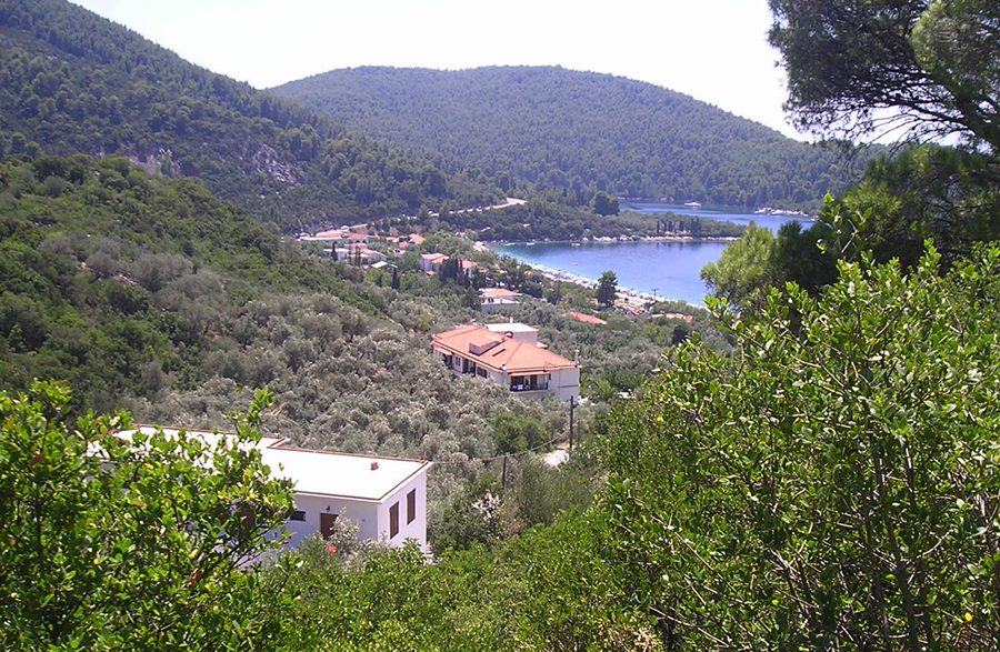 008P1010437.JPG